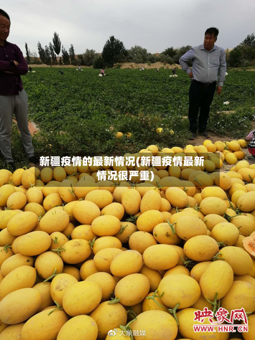 新疆疫情的最新情况(新疆疫情最新情况很严重)