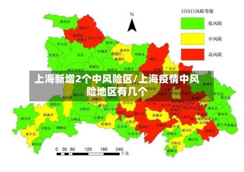 上海新增2个中风险区/上海疫情中风险地区有几个-第2张图片