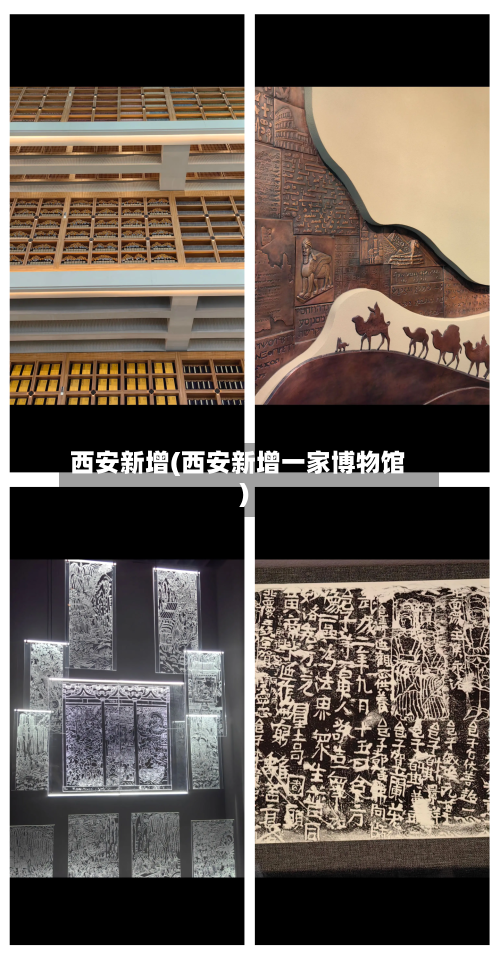 西安新增(西安新增一家博物馆)