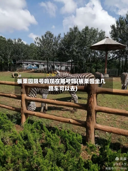 板栗园限号吗现在限号吗(板栗园坐几路车可以去)-第3张图片