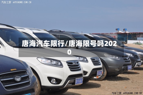 唐海汽车限行/唐海限号吗2020-第2张图片