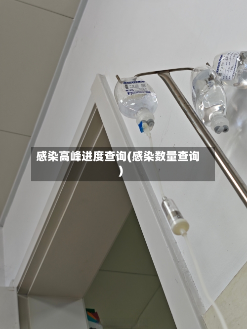 感染高峰进度查询(感染数量查询)