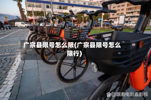 广宗县限号怎么限(广宗县限号怎么限行)-第3张图片