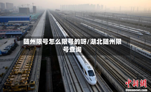随州限号怎么限号的呀/湖北随州限号查询-第2张图片