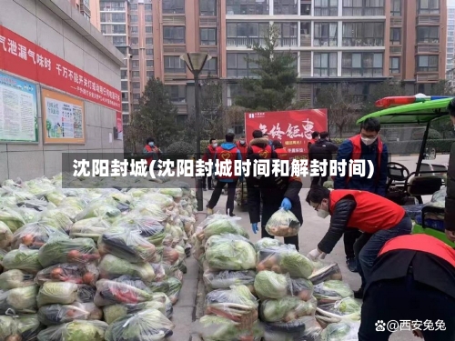 沈阳封城(沈阳封城时间和解封时间)