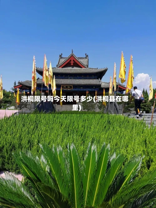 洪桐限号吗今天限号多少(洪桐县在哪里)