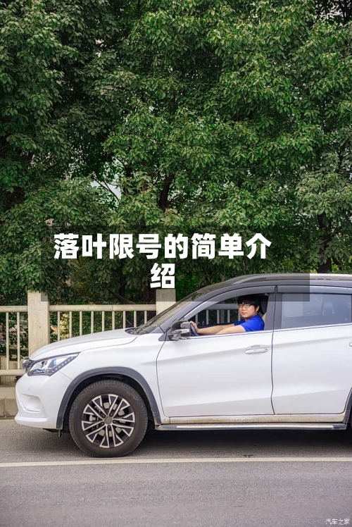 落叶限号的简单介绍
