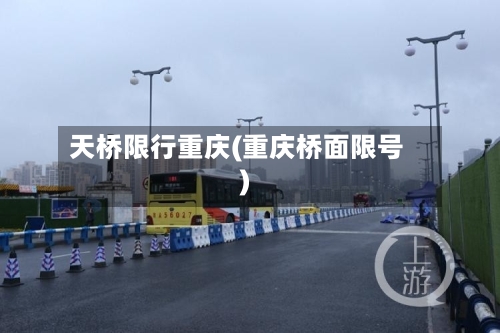 天桥限行重庆(重庆桥面限号)-第2张图片
