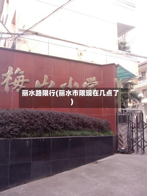 丽水路限行(丽水市限现在几点了)-第2张图片