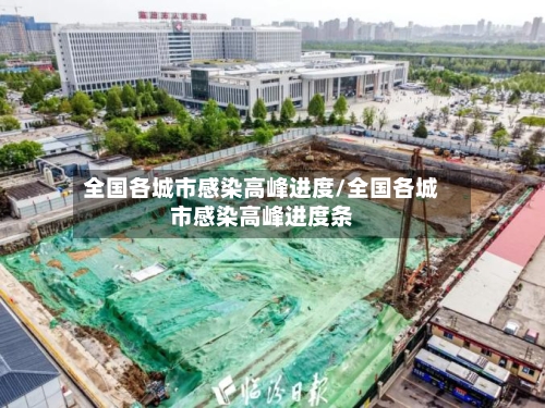 全国各城市感染高峰进度/全国各城市感染高峰进度条