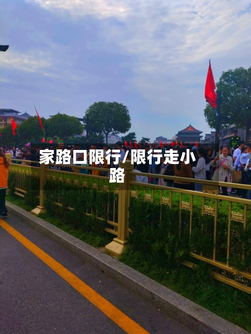 家路口限行/限行走小路