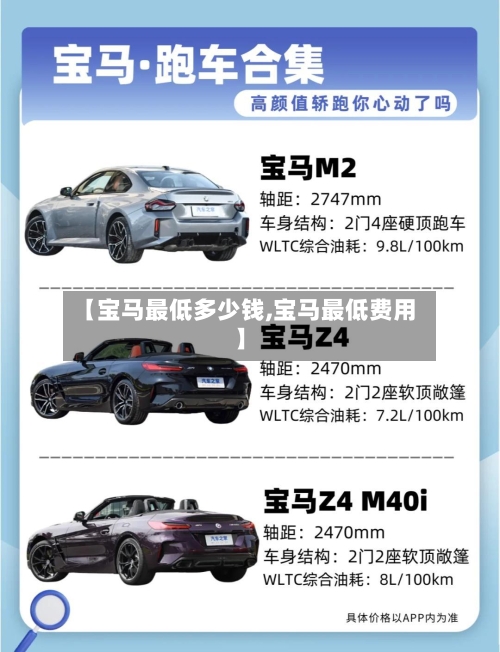 【宝马最低多少钱,宝马最低费用】-第2张图片