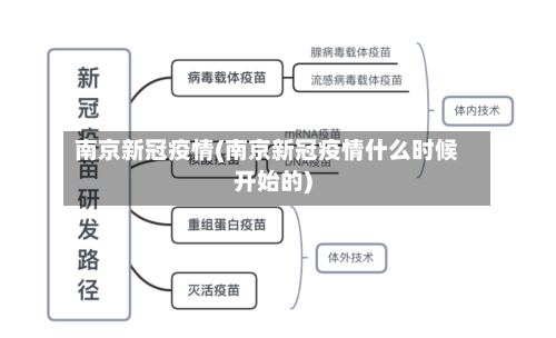 南京新冠疫情(南京新冠疫情什么时候开始的)-第3张图片
