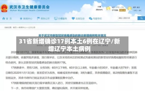 31省新增确诊17例本土6例在辽宁/新增辽宁本土病例-第2张图片