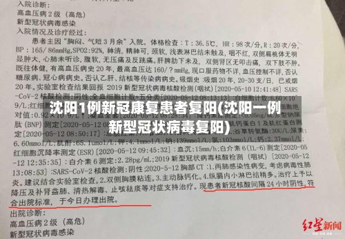 沈阳1例新冠康复患者复阳(沈阳一例新型冠状病毒复阳)-第3张图片