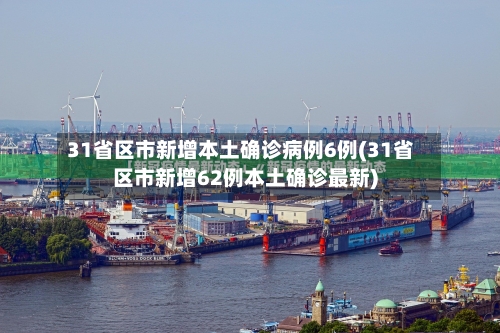 31省区市新增本土确诊病例6例(31省区市新增62例本土确诊最新)