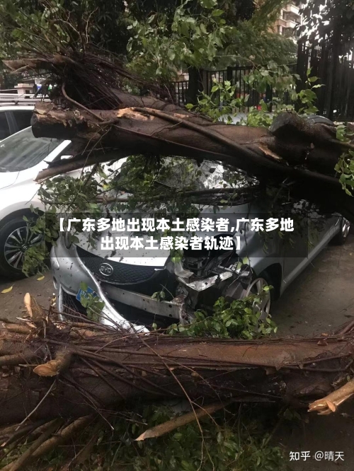 【广东多地出现本土感染者,广东多地出现本土感染者轨迹】-第2张图片