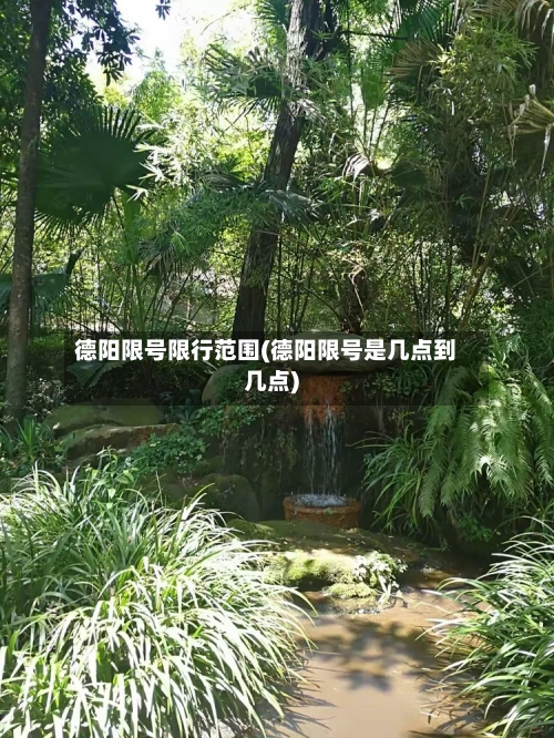 德阳限号限行范围(德阳限号是几点到几点)-第3张图片