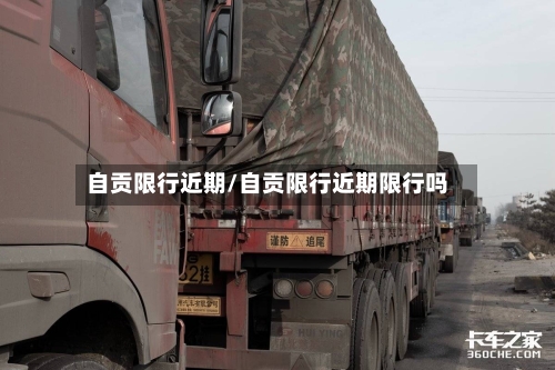 自贡限行近期/自贡限行近期限行吗-第2张图片