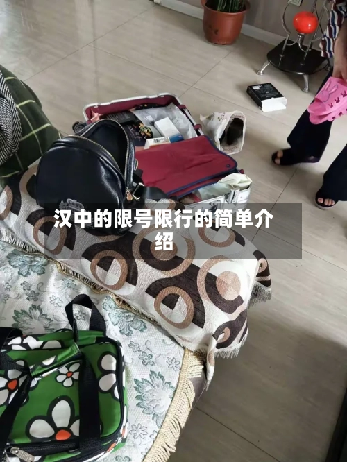 汉中的限号限行的简单介绍