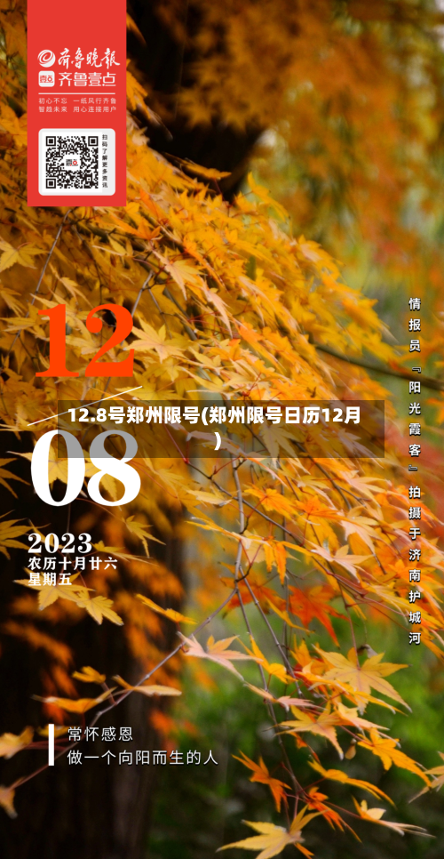 12.8号郑州限号(郑州限号日历12月)