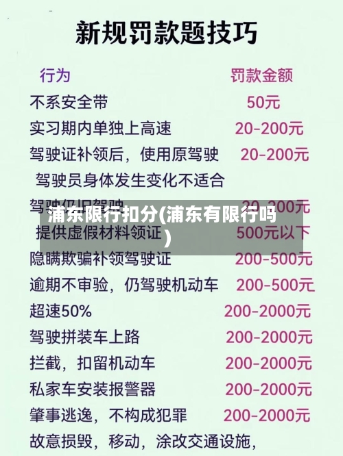 浦东限行扣分(浦东有限行吗)-第2张图片