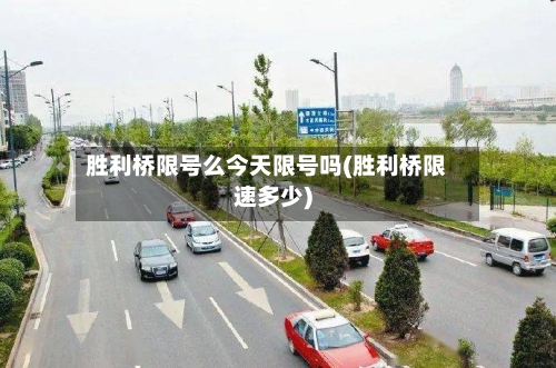 胜利桥限号么今天限号吗(胜利桥限速多少)-第2张图片
