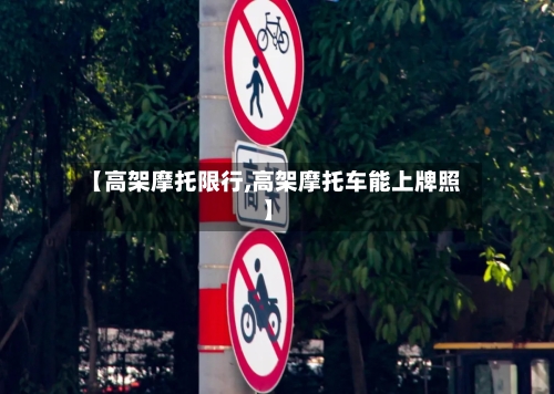 【高架摩托限行,高架摩托车能上牌照】-第3张图片