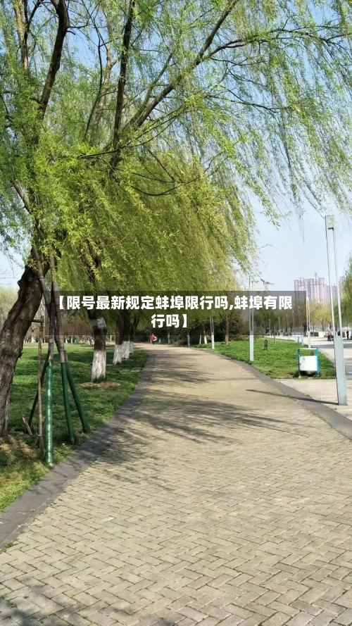 【限号最新规定蚌埠限行吗,蚌埠有限行吗】-第2张图片