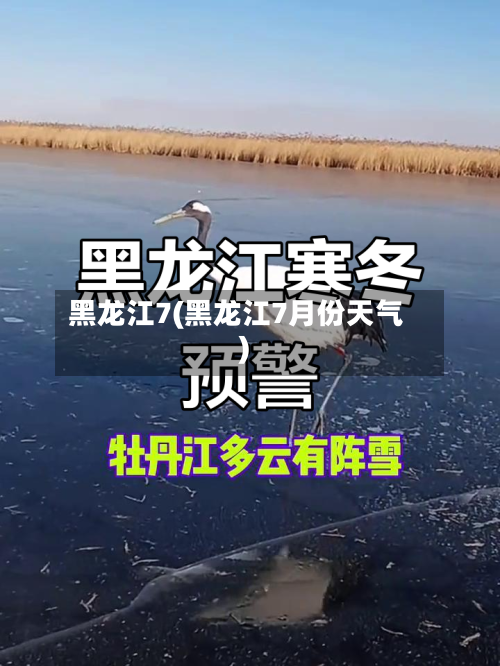 黑龙江7(黑龙江7月份天气)-第2张图片