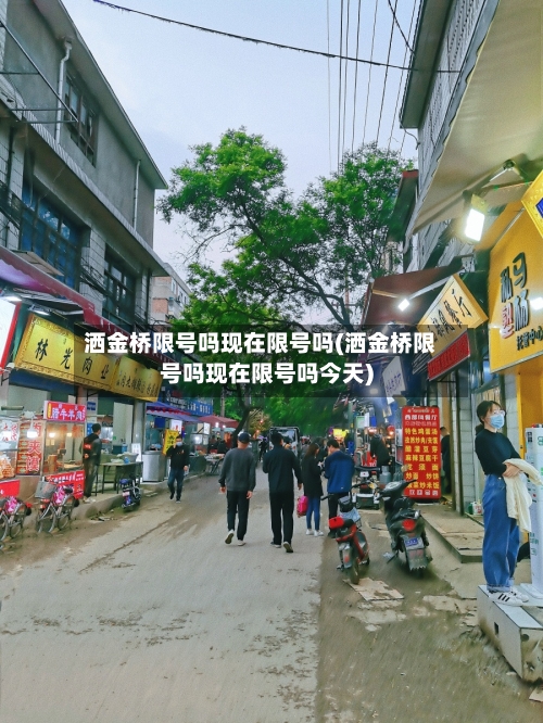 洒金桥限号吗现在限号吗(洒金桥限号吗现在限号吗今天)