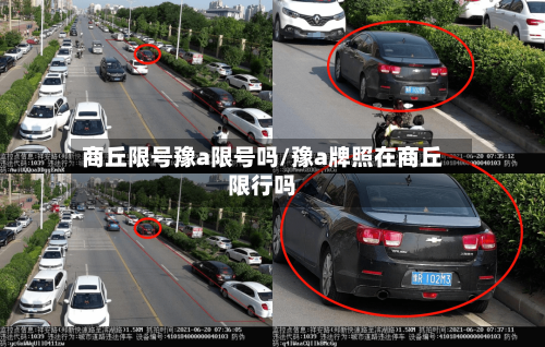 商丘限号豫a限号吗/豫a牌照在商丘限行吗-第2张图片