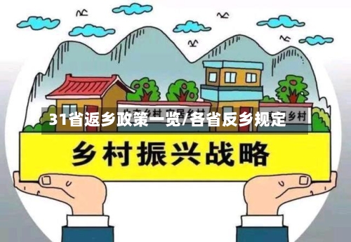 31省返乡政策一览/各省反乡规定