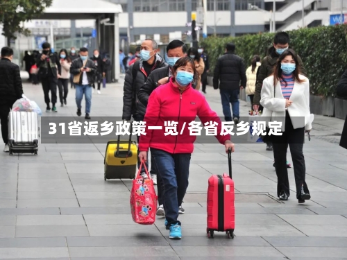 31省返乡政策一览/各省反乡规定-第2张图片