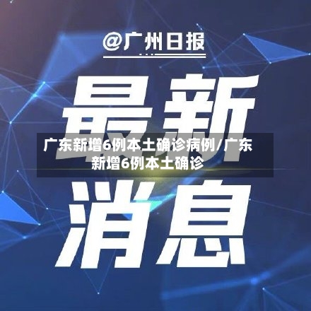 广东新增6例本土确诊病例/广东新增6例本土确诊