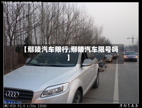 【鄢陵汽车限行,鄢陵汽车限号吗】