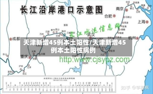 天津新增45例本土阳性/天津新增45例本土阳性病例