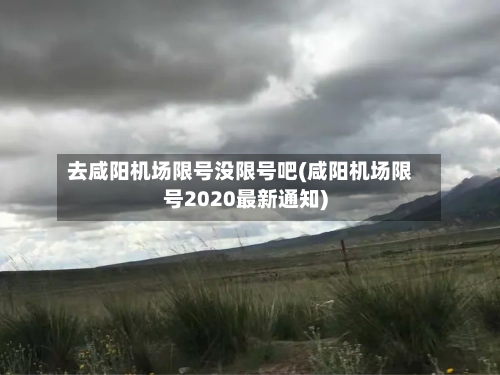去咸阳机场限号没限号吧(咸阳机场限号2020最新通知)-第2张图片