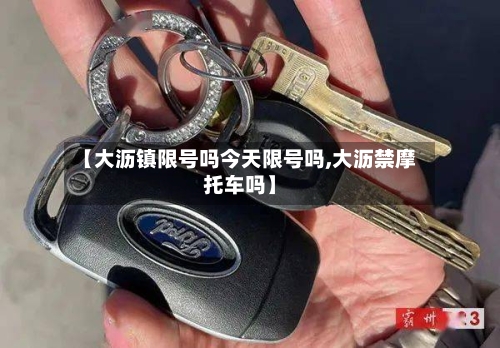 【大沥镇限号吗今天限号吗,大沥禁摩托车吗】-第2张图片