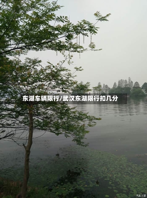 东湖车辆限行/武汉东湖限行扣几分-第3张图片