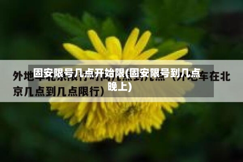 固安限号几点开始限(固安限号到几点晚上)