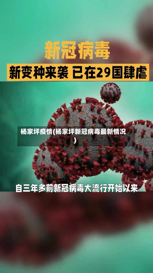 杨家坪疫情(杨家坪新冠病毒最新情况)