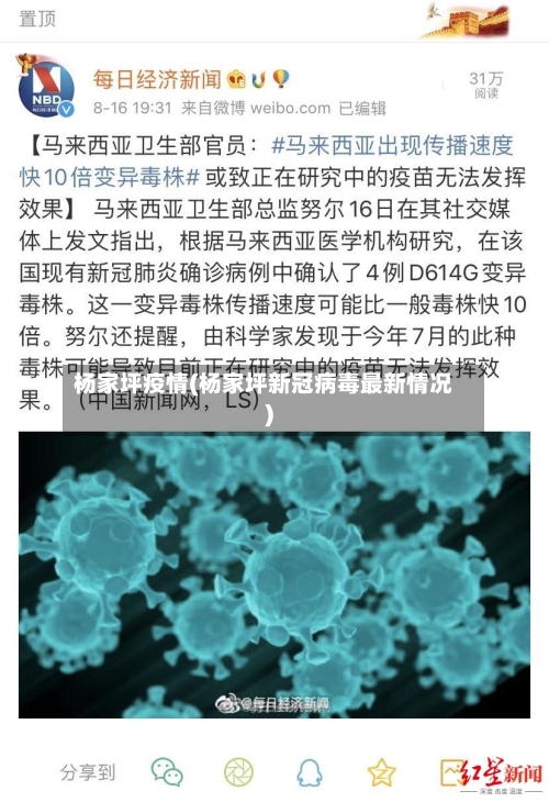 杨家坪疫情(杨家坪新冠病毒最新情况)-第3张图片