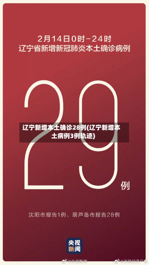 辽宁新增本土确诊28例(辽宁新增本土病例3例轨迹)-第2张图片