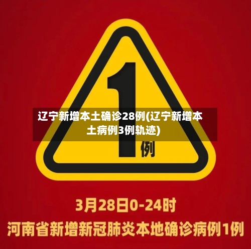 辽宁新增本土确诊28例(辽宁新增本土病例3例轨迹)-第3张图片