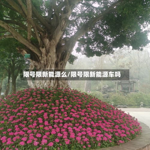 限号限新能源么/限号限新能源车吗