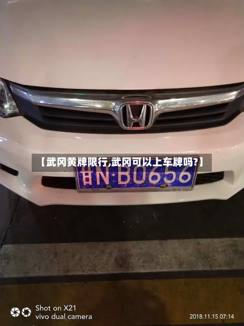 【武冈黄牌限行,武冈可以上车牌吗?】-第2张图片