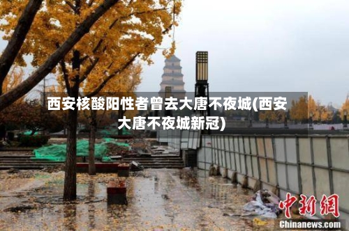 西安核酸阳性者曾去大唐不夜城(西安大唐不夜城新冠)