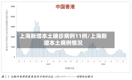 上海新增本土确诊病例11例/上海新增本土病例情况-第3张图片