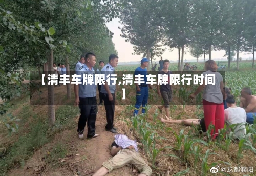 【清丰车牌限行,清丰车牌限行时间】-第3张图片